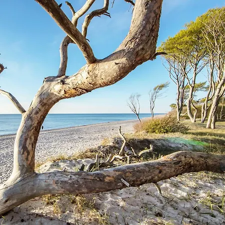 아파트 5 Sterne Grosse Strandburg - Wellnessurlaub Zwischen Ostsee Und Bodden *