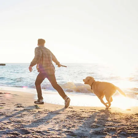 5 Sterne Grosse Strandburg - Wellnessurlaub Zwischen Ostsee Und Bodden 아파트